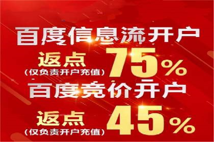 百度推广在汽车行业的营销案例